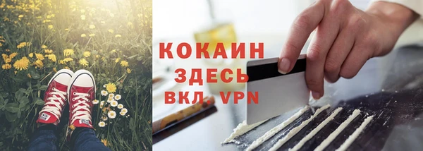 тгк Абаза