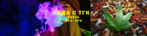 тгк Абаза